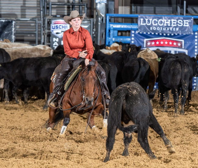United States Cutting Horse Association